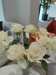 -WENDY·温迪皮肤管理