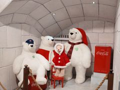 -济州岛泰迪熊博物馆