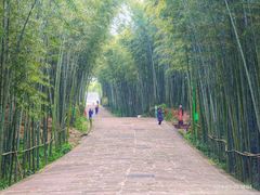-蜀南竹海景区