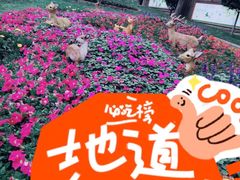 -广州莲花山旅游区