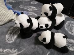 -熊猫邮局(少城店)