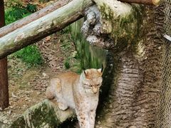 -宁波野生动物园
