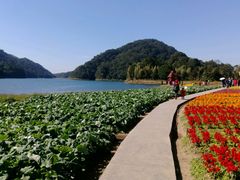 -广州市石门国家森林公园