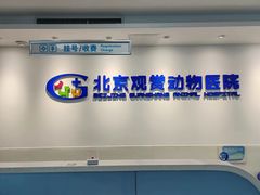 -北京观赏动物医院·24小时大型综合·猫专科·异宠专科