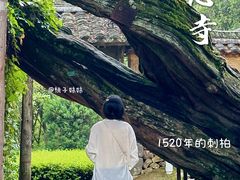 -云中大漈