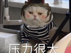 -夜烤·宜宾烧烤(洋河路店)