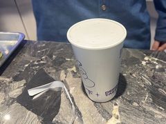 -TD66高山铁皮石斛养生茶饮
