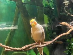 -上海海洋水族馆