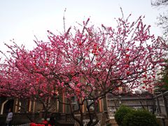 -卫鼎轩·曹公馆(鼓楼店)