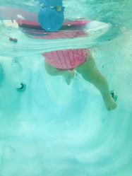 -鱼乐贝贝婴幼儿水育馆(高桥红坊店)