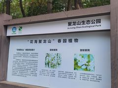 -聚龙山公园