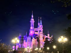 -小镇影院迪士尼小熊Duffy与他的朋友合影地