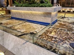 -川骄海鲜自助(河东店)
