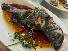 -新金盛·海鲜酒楼(盐田店)