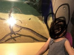 -西海国立公园九十九岛水族馆