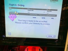 -新加坡航空公司(ION)