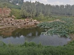 -莫子山公园