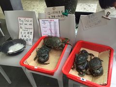 -龙海鲜螃蟹王(宏茂桥店)