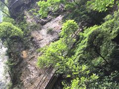 -神龙峡风景区
