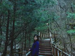 -青峰峡国家森林公园