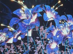 -凤凰徐州书城(淮海西路店)