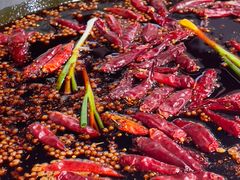 -铜元老码头鳝鱼火锅