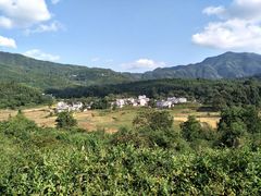 -塔川景区
