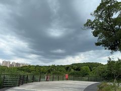 -昆山城市生态森林公园