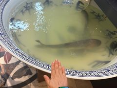 -南京金牛湖巨碗鱼头