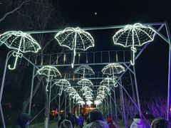 -青龙湖公园