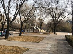 -北京世界公园