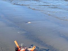 -ChanDu躔度咖啡(灯塔店)