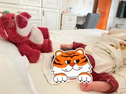 -喜月来月子会所