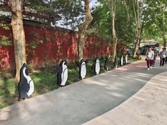 -成都动物园