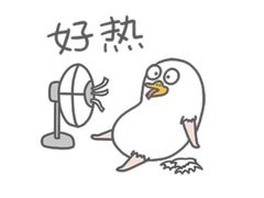 -宠物家(双井店)