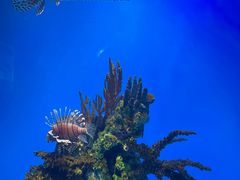 -海合安武汉极地海洋公园