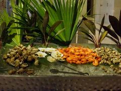 -海口绿发希尔顿酒店-田园汇自助餐·三文鱼·海鲜