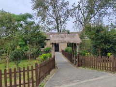 -盐城丹顶鹤湿地生态旅游区