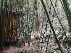 -四洞沟景区