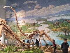 -自贡恐龙博物馆