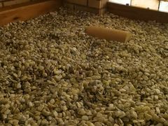 -云龙洗浴商务酒店