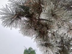 -莫子山公园