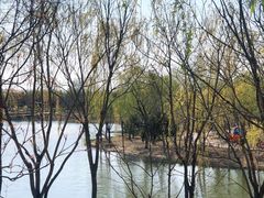 -东郊湿地公园