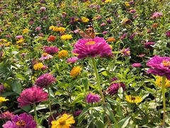 -美事客·面包·蛋糕·甜品(城中城店)