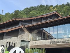 -都江堰中华大熊猫苑