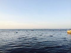 -兰坡海鲜市场