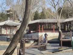 -北坞公园
