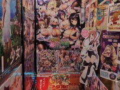 -秋叶原电器街
