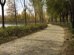 -香山公园