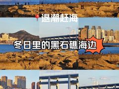 -黑石礁公园